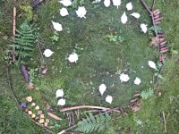 2025-09-03 Projektový den &quot;Poznáváme se v lese&quot;